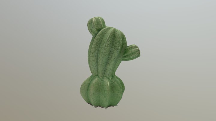 Cactus 3D Model