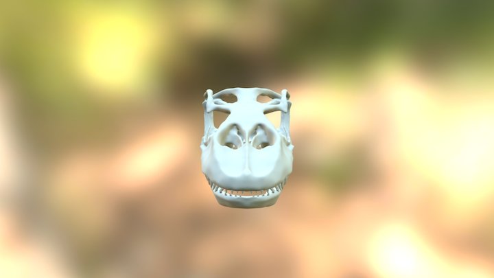 Komodo Dragon Skull 3D Model