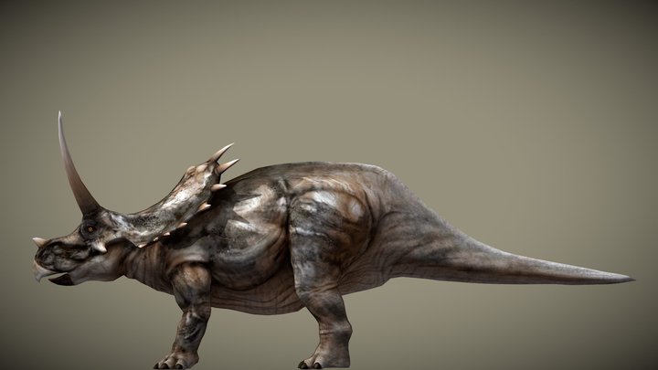 JW: PO Agujaceratops – Modelo 3D gratuito STL