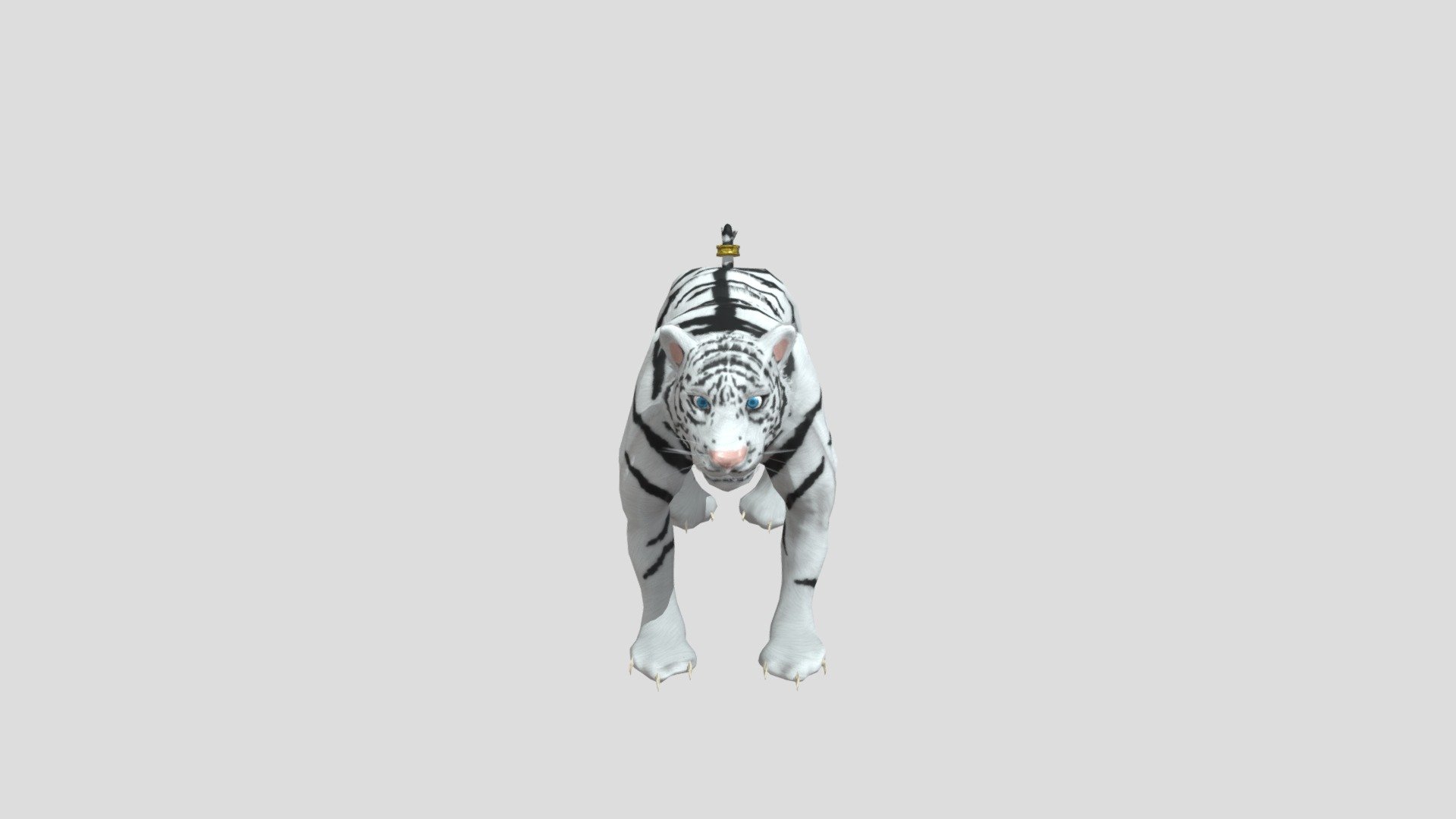 tiger - 3D model by daegal (@Juhong01) [95c314d] - Sketchfab