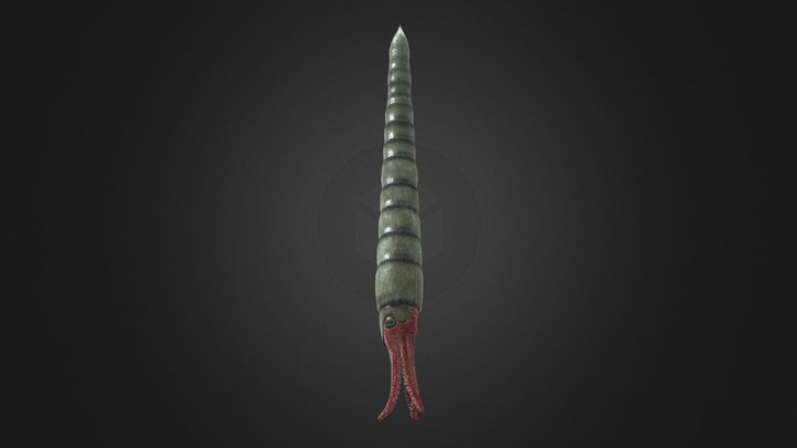 Endoceras 3D Model