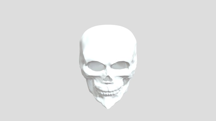 My model 3D Model