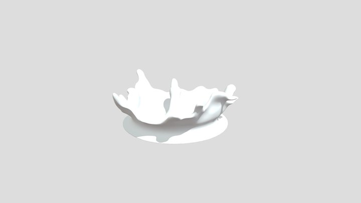 Splash /ring holder 3D Model