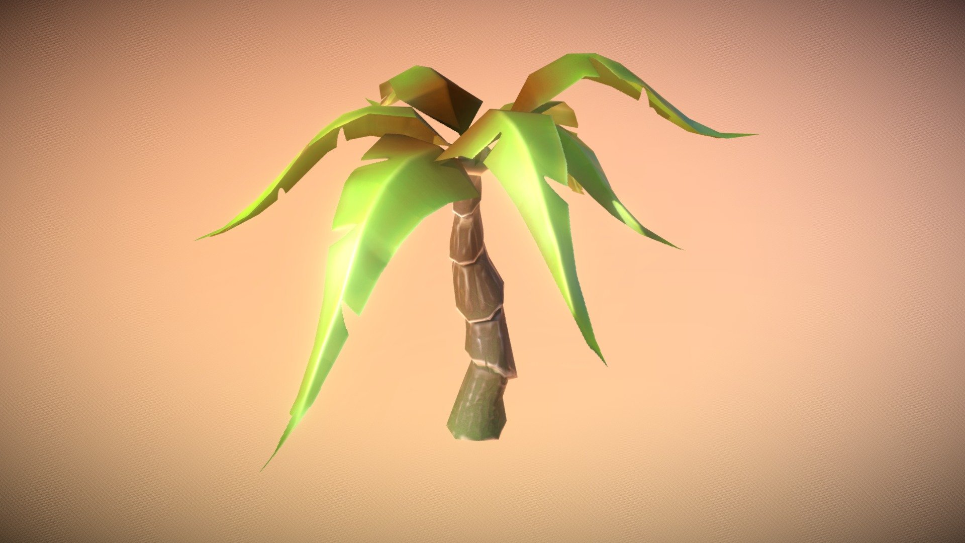 Palm tree