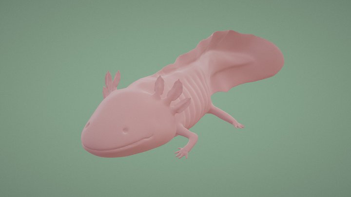 zbrush axolotl 3D Model