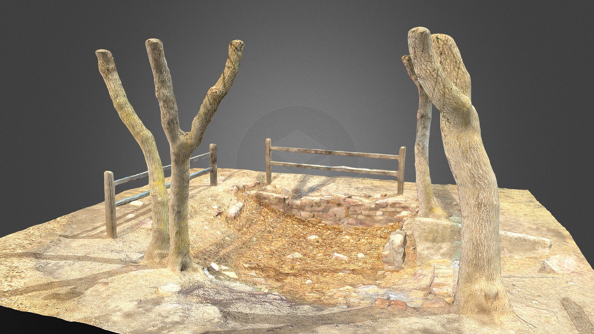 House Foundation Ruins