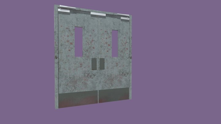 Hospital Door 3D Model