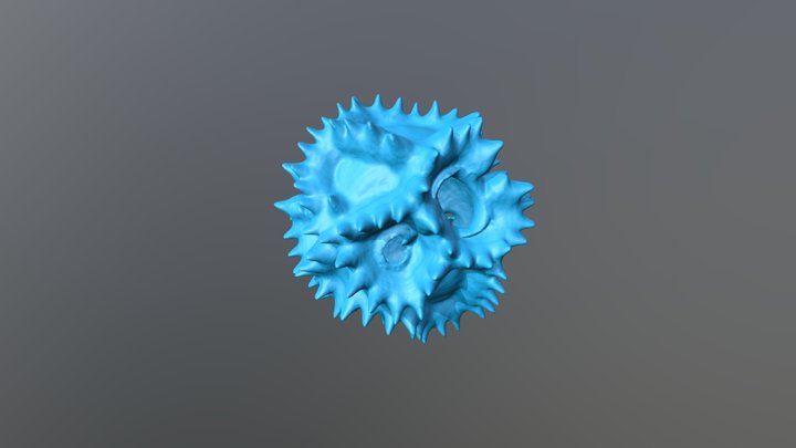 Dandelion-type pollen 3D Model