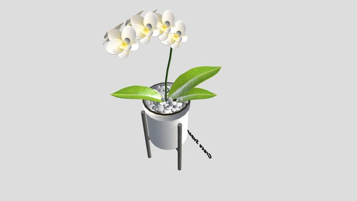 Plant 3D Model