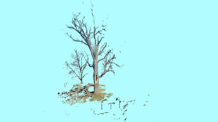Failed Lead 3D Model