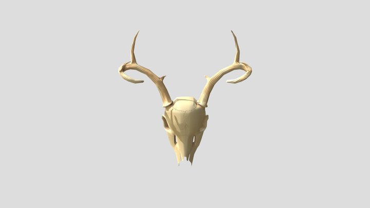 Deer Skull 3D Model