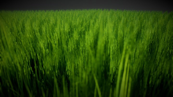Yet another grass model – Free 3D Model STL