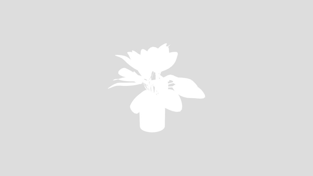 Plant Dense Bird Of Paradise
