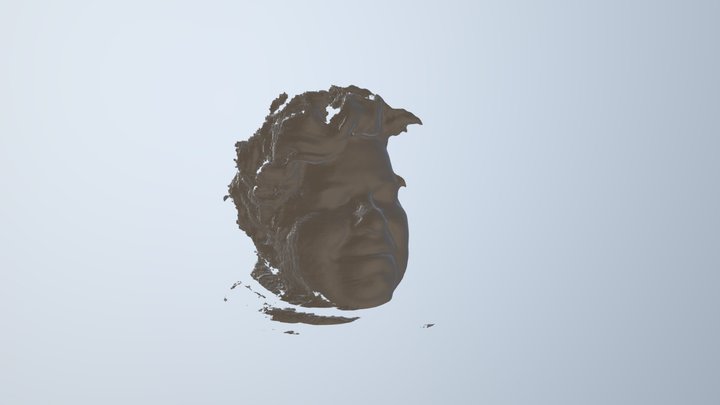 Face 3D Model