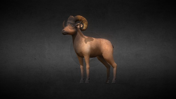Big Horn Sheep 3D Model