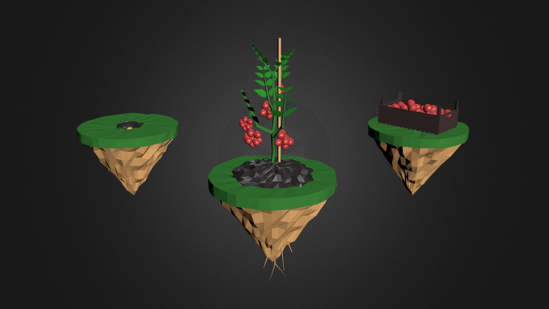 Tomatos