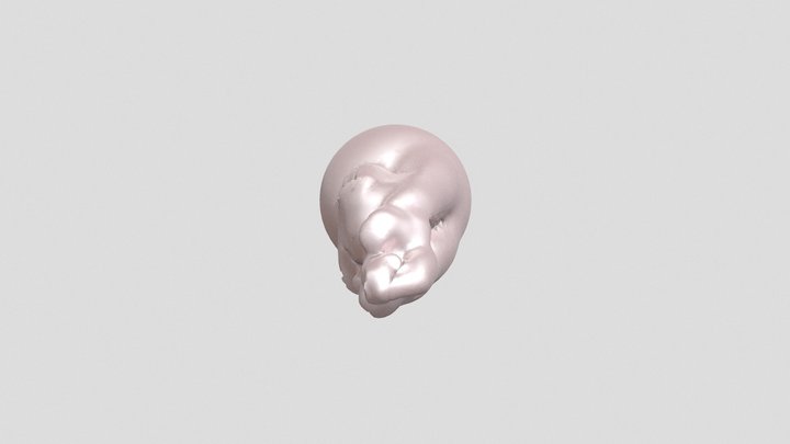 fews7ibg7iuehfui 3D Model