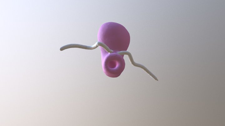Cartoon Shoe 3D Model