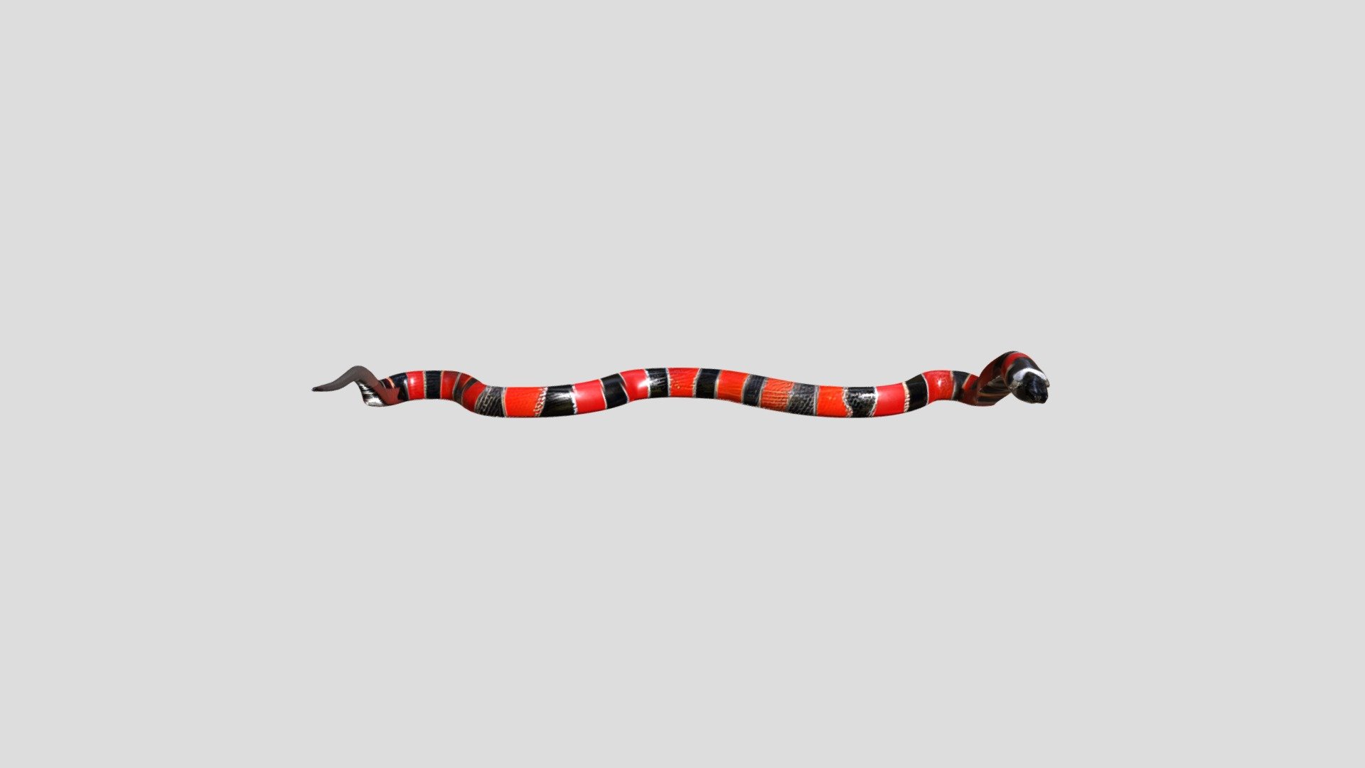 A colorful snake - 3D model by MOBFAZOL [95e6b54] - Sketchfab