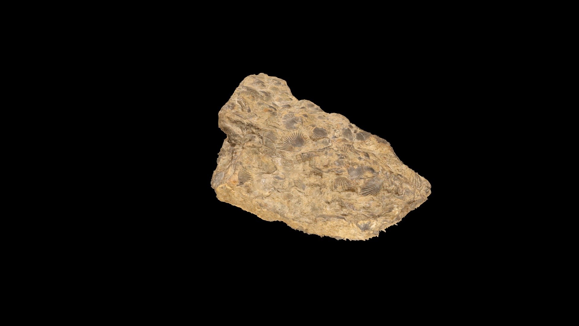 Geol316_F