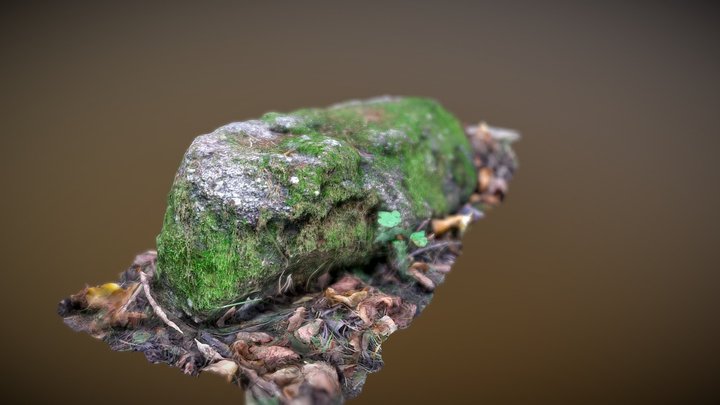Photoscanned Stone in the Forest 3D Model