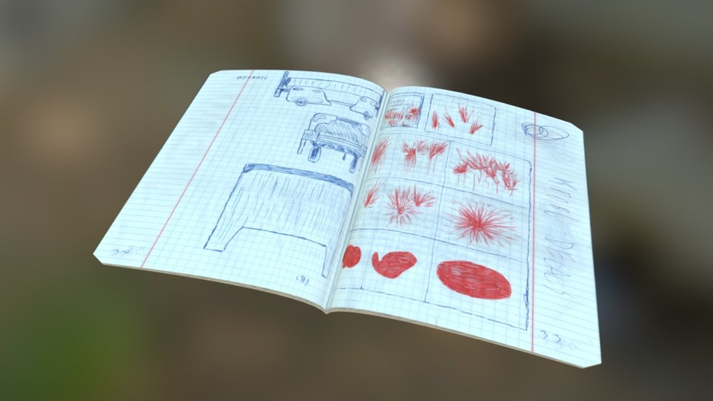 Secret notebook from Paper Hospital map