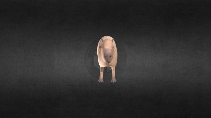 capybara 3D Model