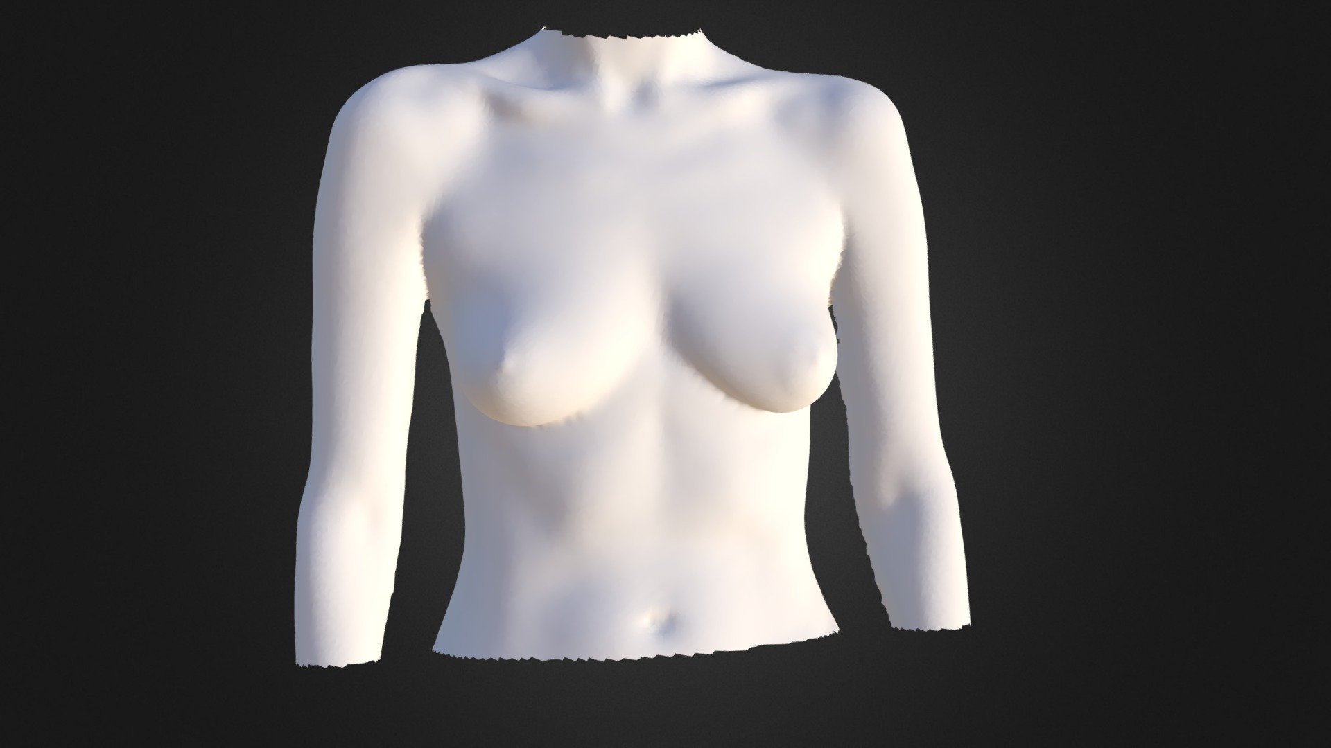 3D Scanned Breasts - Artec 3D