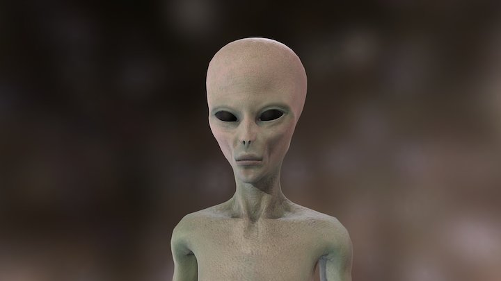 Alien Grey 3D Model