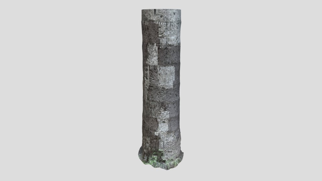 Tree Scan
