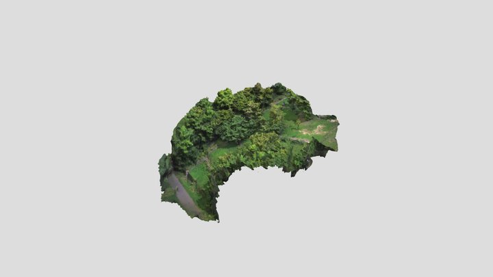 Historic Vinyard Site in Southern Germany 3D Model
