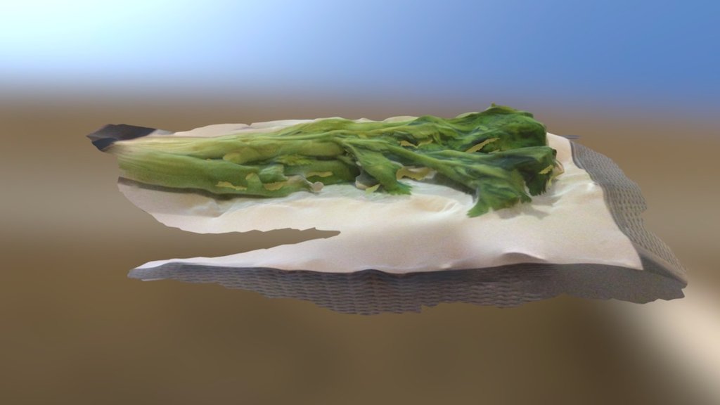 3D scan