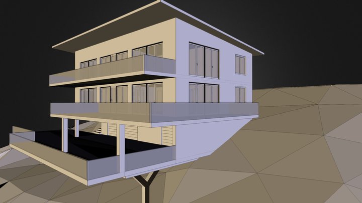 Entwurf eines Hauses in Hanglage 3D Model