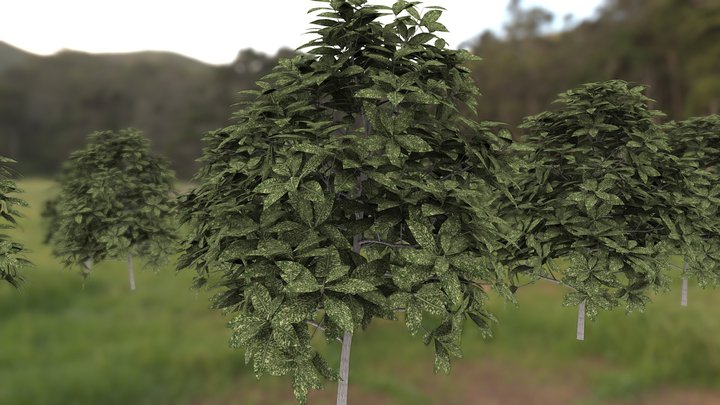 Laurels 3D Model