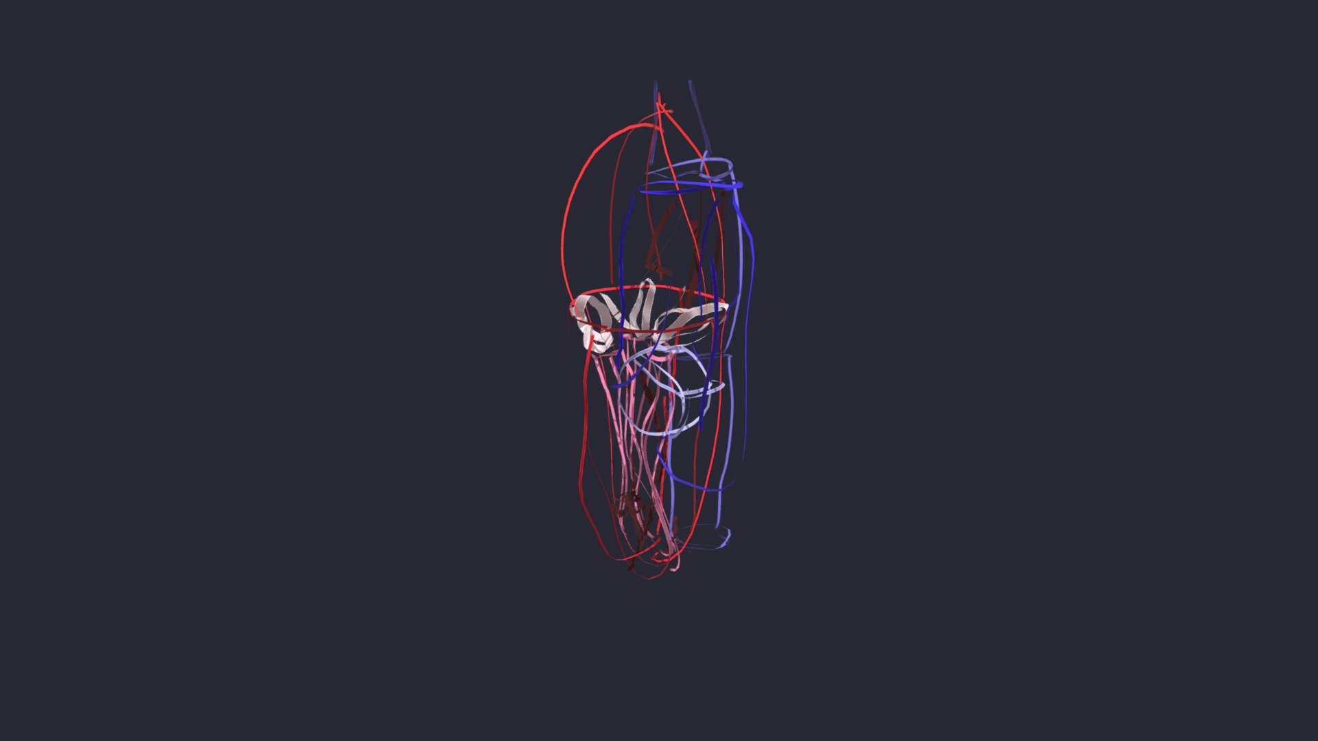 Heart - ventricle