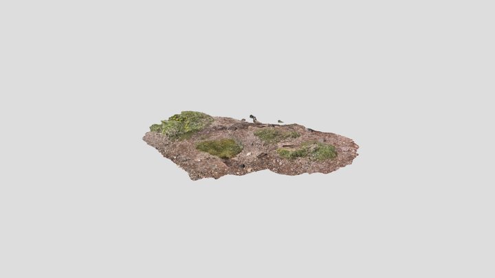 Untitled Scan 3D Model