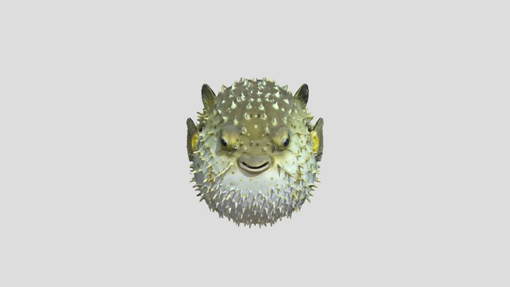 Puffy Encounter 2 3D Model
