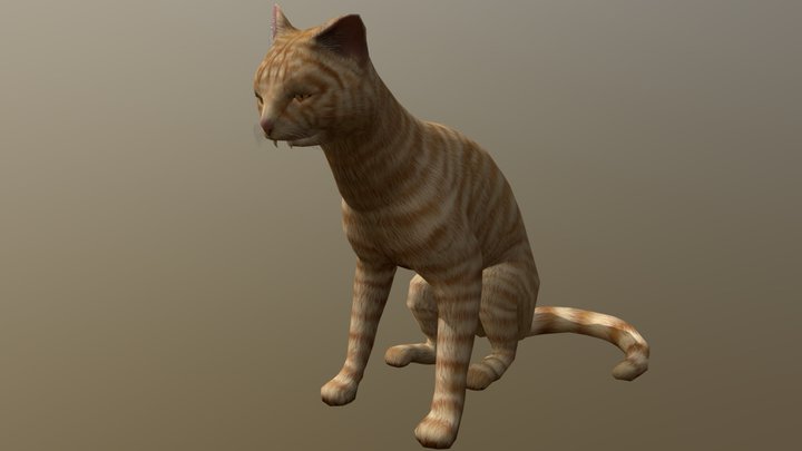 Streetcat001 3D Model