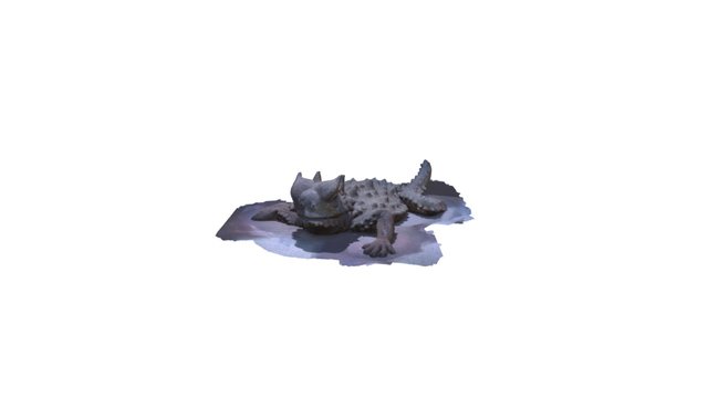 David Phelps Lizard 3D Model