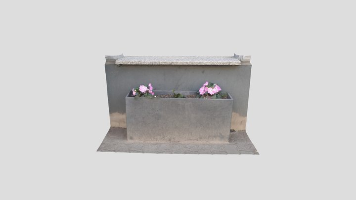Pink city flower 3D Model