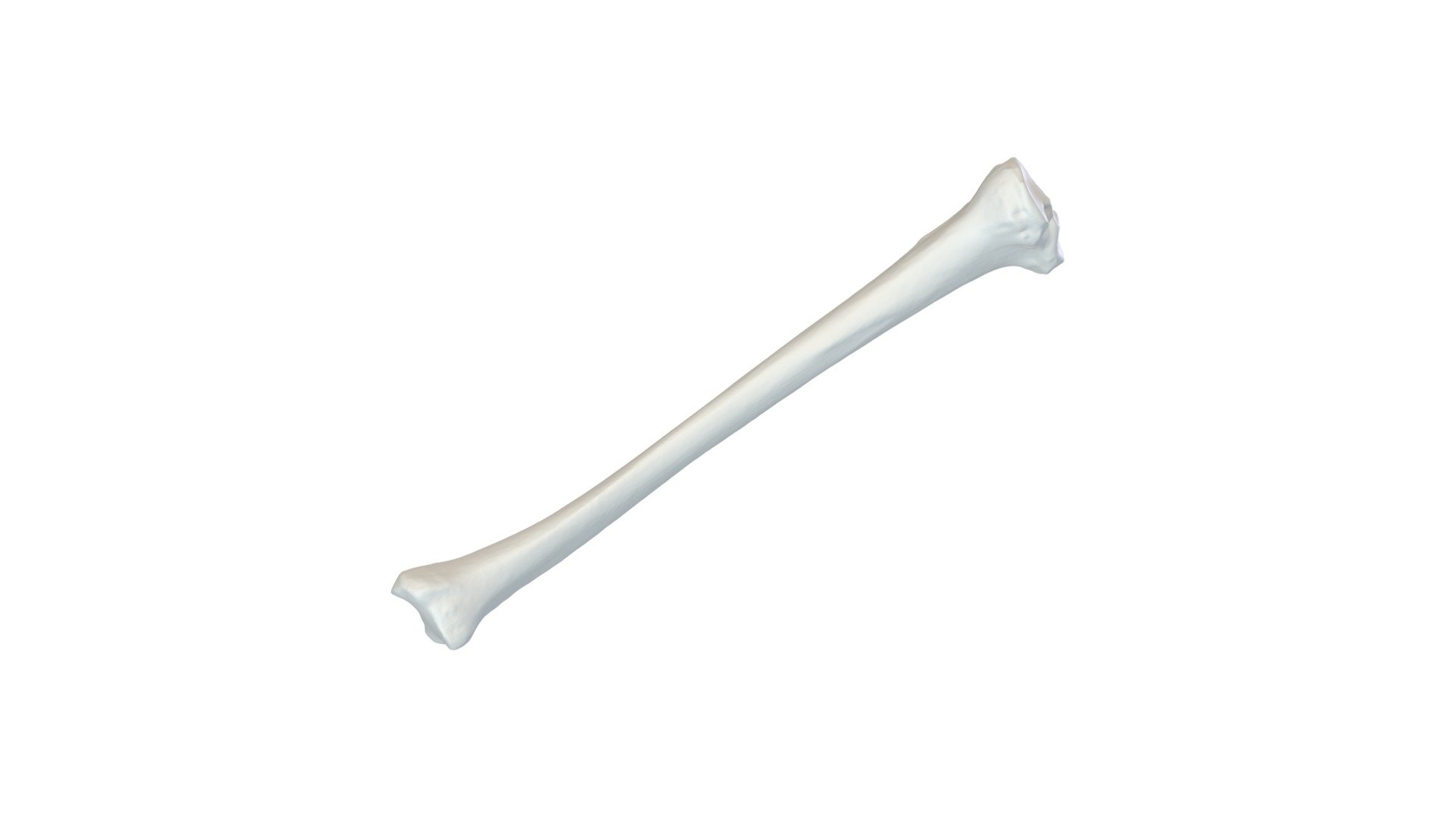 Lab 3 - Specimen B7