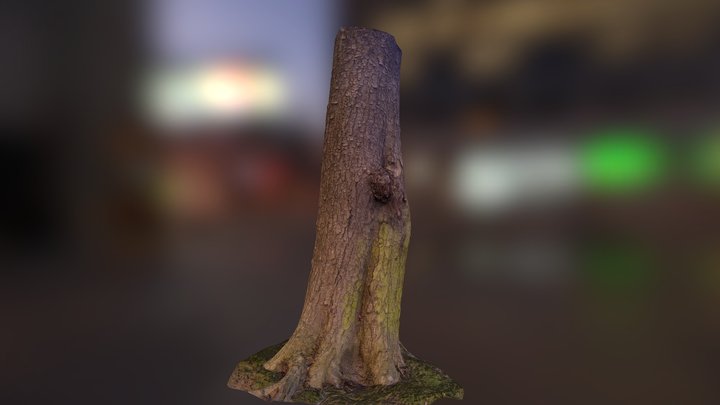 Drzewo 10k 3D Model