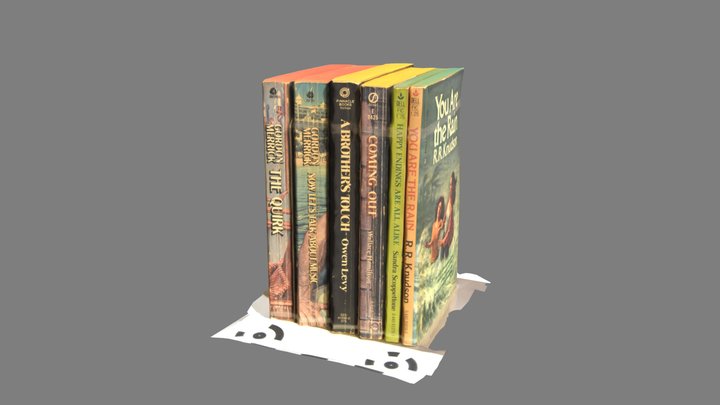 Shelf of mass-market "seized books" 3D Model