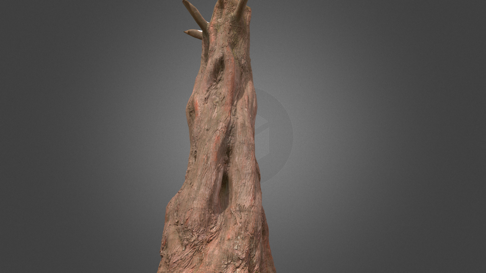 3D model Cedar tree trunk - This is a 3D model of the Cedar tree trunk. The 3D model is about a close-up of a tree trunk.