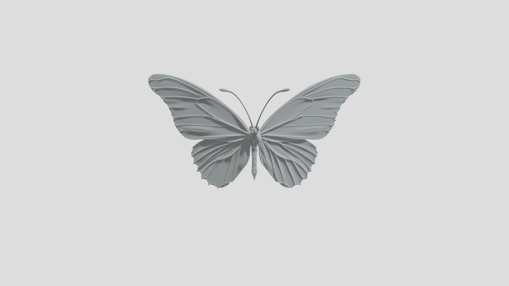 Cosmic Butterfly