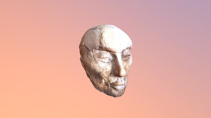 stengrabb_remesh 3D Model