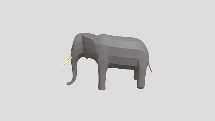 Elephant 3D Model
