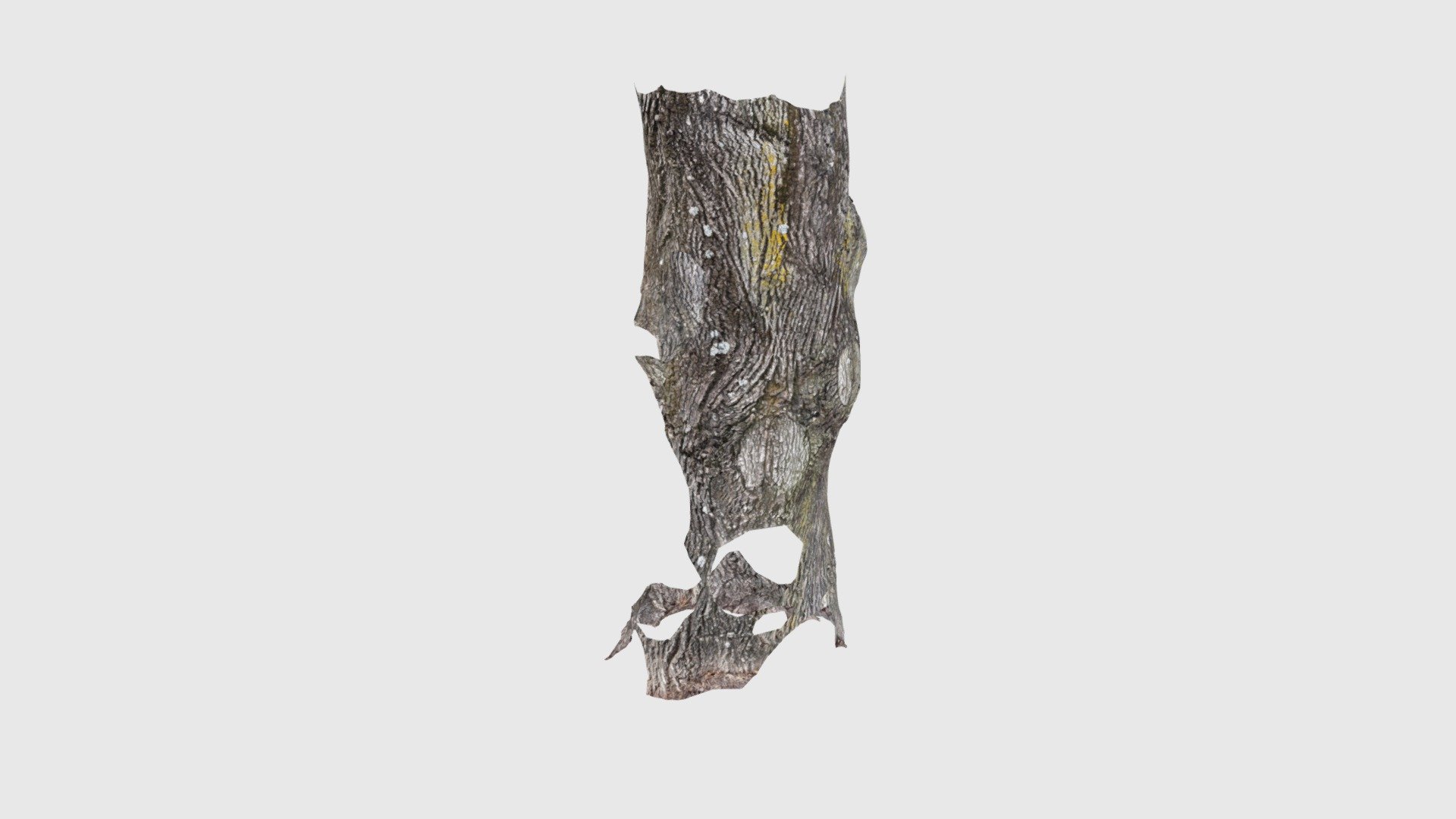 Tree Scaniverse