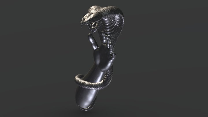 Snake wraps around the hand 3D Model