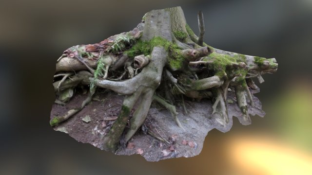 Tree Roots – Kostenloses 3D-Modell STL